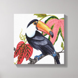 Toco Toucan Canvas Afdruk