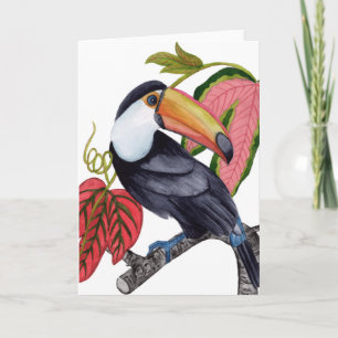 Toco Toucan Kaart