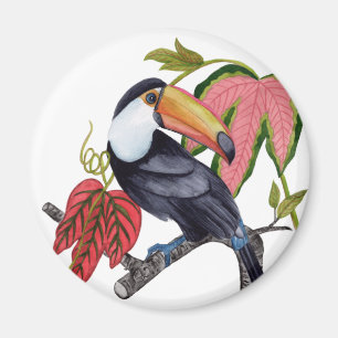 Toco Toucan Magneet