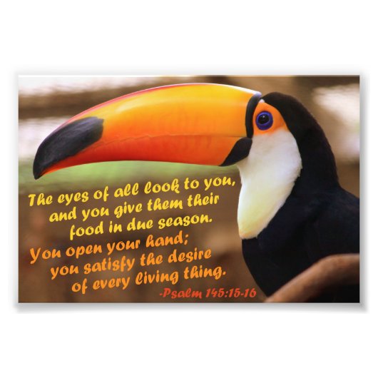 Toco Toucan met Psalm 145:15-16 Foto Afdruk (Voorkant)