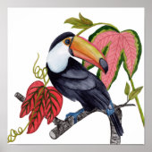Toco Toucan Poster (Voorkant)