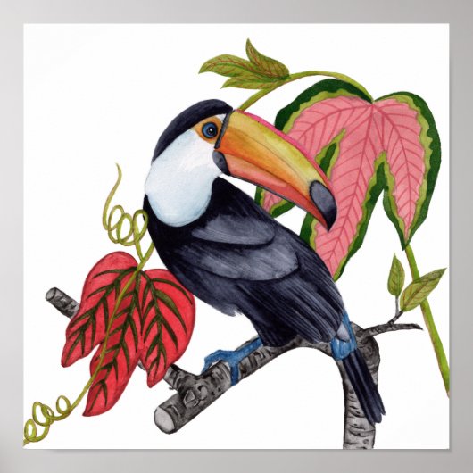 Toco Toucan Poster (Voorkant)