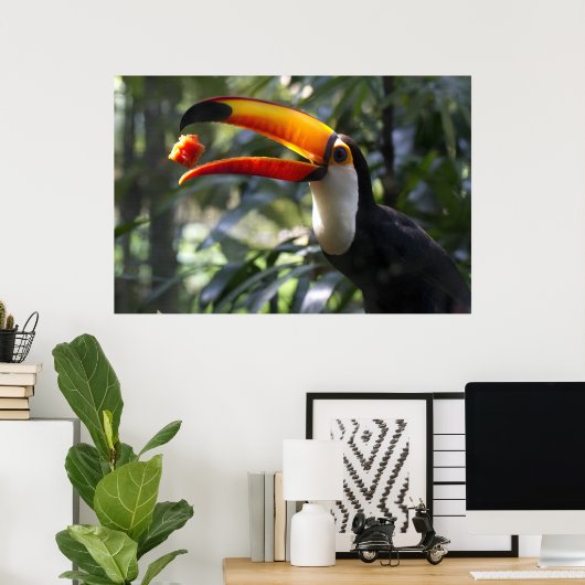 Toco Toucan-Poster Poster (Thuiskantoor)