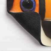Toco Toucan (Ramphastos toco) is de grootste Muismat (Hoek)