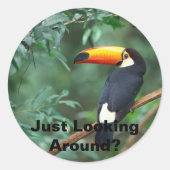 Toco Toucan, rondkijken? Ronde Sticker (Voorkant)