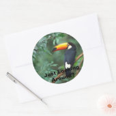 Toco Toucan, rondkijken? Ronde Sticker (Envelop)