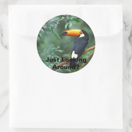 Toco Toucan, rondkijken? Ronde Sticker (Tas)