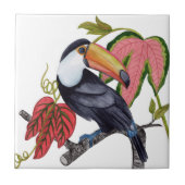 Toco Toucan Tegeltje (Voorkant)