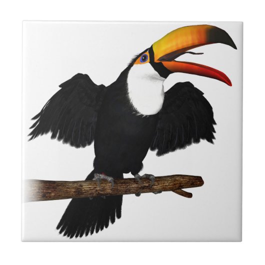 Toco Toucan Tegeltje (Voorkant)