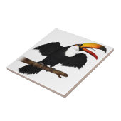 Toco Toucan Tegeltje (Zijkant)
