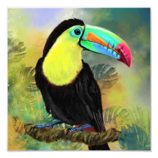 Toco Toucan Vogel Waterverf Schilderij Poster Prin (Voorkant)