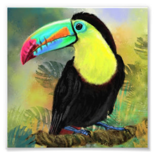 Toco Toucan Vogelschilderij Poster Print