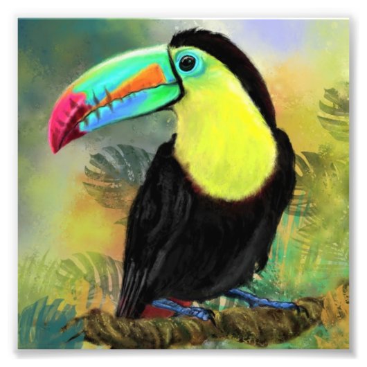 Toco Toucan Vogelschilderij Poster Print (Voorkant)