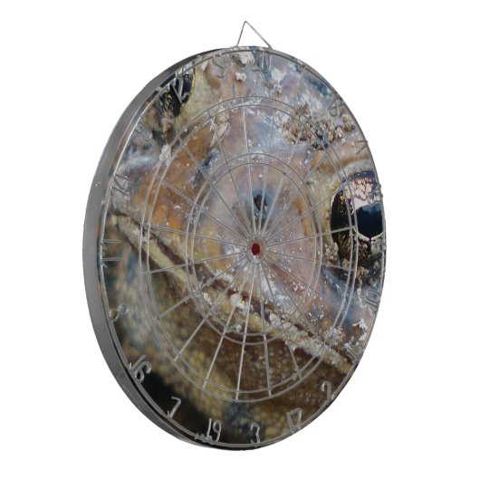 Todaat Dartbord (Voorkant Links)