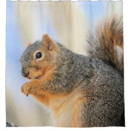 Todays-fourball Douchegordijn