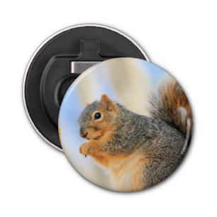 Todays-furball Button Flesopener