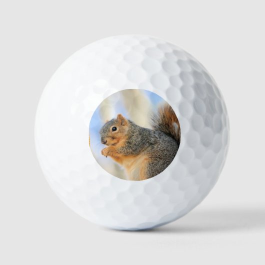 Todays-furball Golfballen (Voorkant)