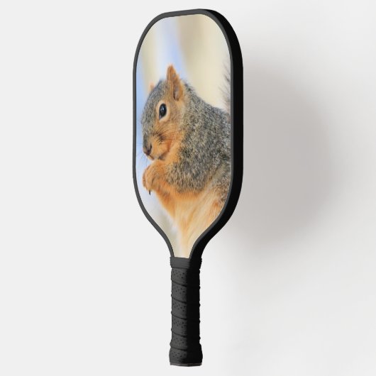Todays-furball Pickleball Paddle (Links)