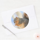 Todays-furball Ronde Sticker (Envelop)