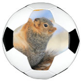 Todays-furball Voetbal (Gedraaid)