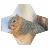 Todays-furball Voetbal (Enkel)