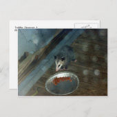 Toddler Opossum 1 Briefkaart (Voorkant / Achterkant)