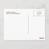 Toddler Opossum 1 Briefkaart (Achterkant)