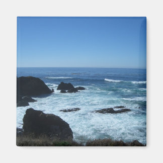 Todd's Point in Fort Bragg, Californië Magneet