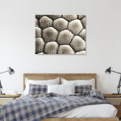 Toe pad epidermis van een Toad Canvas Afdruk (Insitu (Slaapkamer))