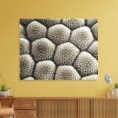 Toe pad epidermis van een Toad Canvas Afdruk (Insitu (Woonkamer))