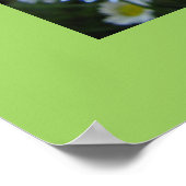 Toe Ticking Poster (Hoek)