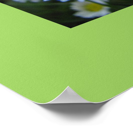 Toe Ticking Poster (Hoek)