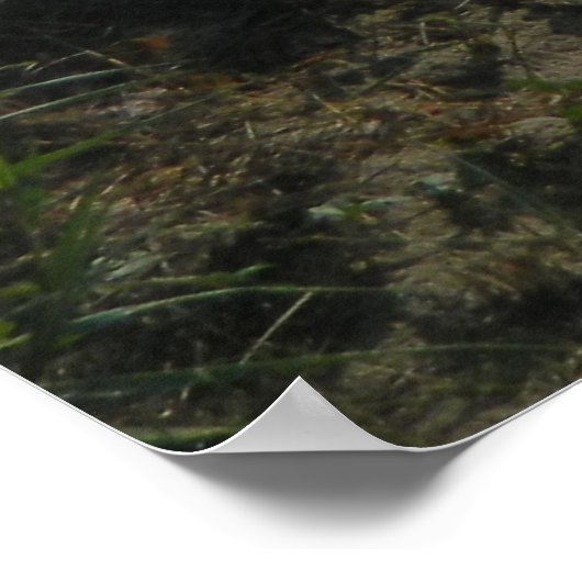 Toegang tot het strand poster (Hoek)