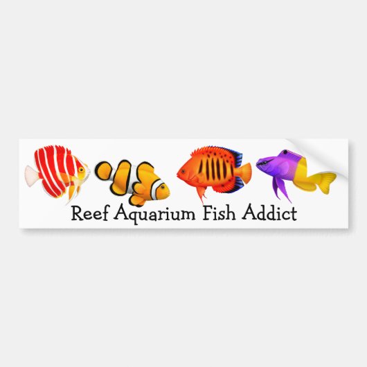 Toegediend aan rif Aquarium Fish Bumpersticker (Voorkant)