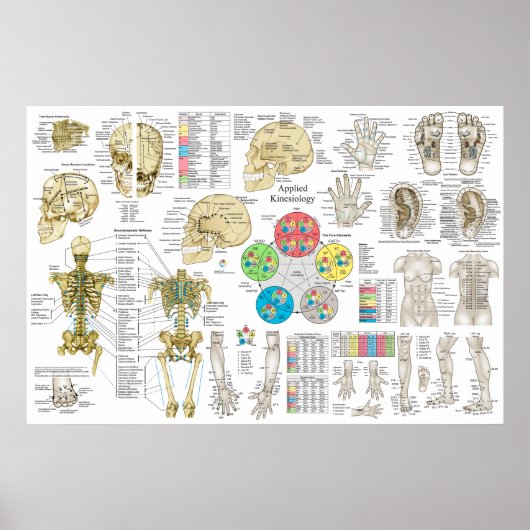 Toegepast Poster op kinsiologie (Voorkant)