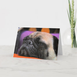 Toejuichenen-op! Pug Wenskaart Kaart