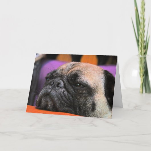 Toejuichenen-op! Pug Wenskaart Kaart (Voorkant)