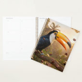 TOEKAN - KOFFIE KONINGIN PLANNER (Display)