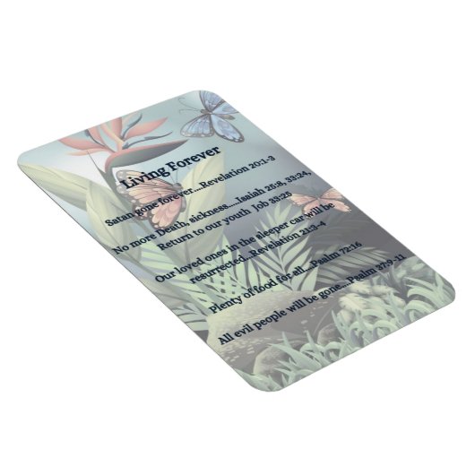 Toekomstige belofte magneet (Rechterzijde)