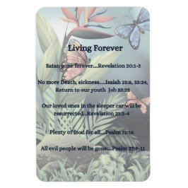 Toekomstige belofte magneet