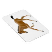 Toekomstige Champion Bay Veulen Premium Magnet Magneet (Rechterzijde)