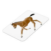 Toekomstige Champion Bay Veulen Premium Magnet Magneet (Linkerzijde)