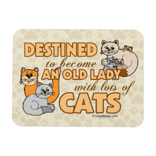 Toekomstige Crazy Cat Lady Funny Gezegde Design Magneet