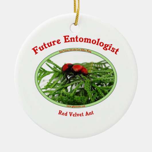Toekomstige Entomoloog houdt van buik Keramisch Ornament (Voorkant)