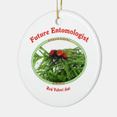 Toekomstige Entomoloog houdt van buik Keramisch Ornament (Links)