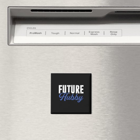 Toekomstige Hub  Magneet (Insitu (Vaatwasser))