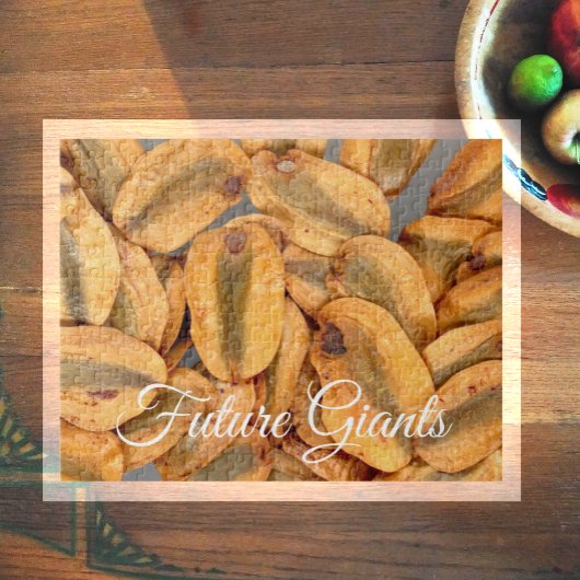 Toekomstige reuen, reuzenrotszaaigoed legpuzzel