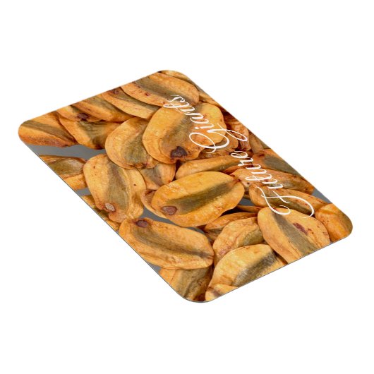 Toekomstige Reuzen, Zaden van Reuzenbomen Magneet (Rechterzijde)