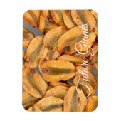 Toekomstige Reuzen, Zaden van Reuzenbomen Magneet (Verticaal)