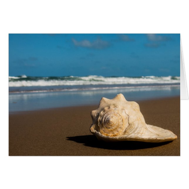 Toekomstvak (Voorkant Horizontaal)